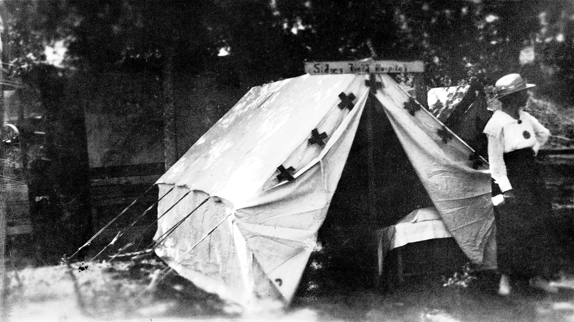 Montana Historical Flu 5